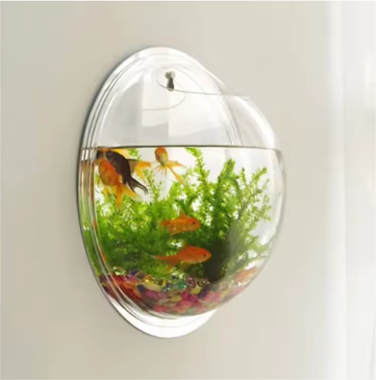 I-Acrylic-Hanging-Fish-Tanks