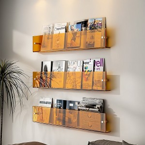 Acrylic magazine rack hanging on the wall