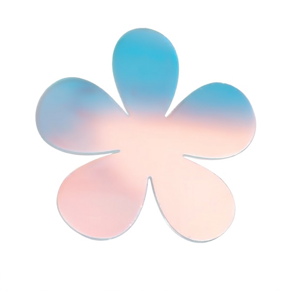 Xinquan 6-Piece Rainbow Acrylic Flower Coasters Set